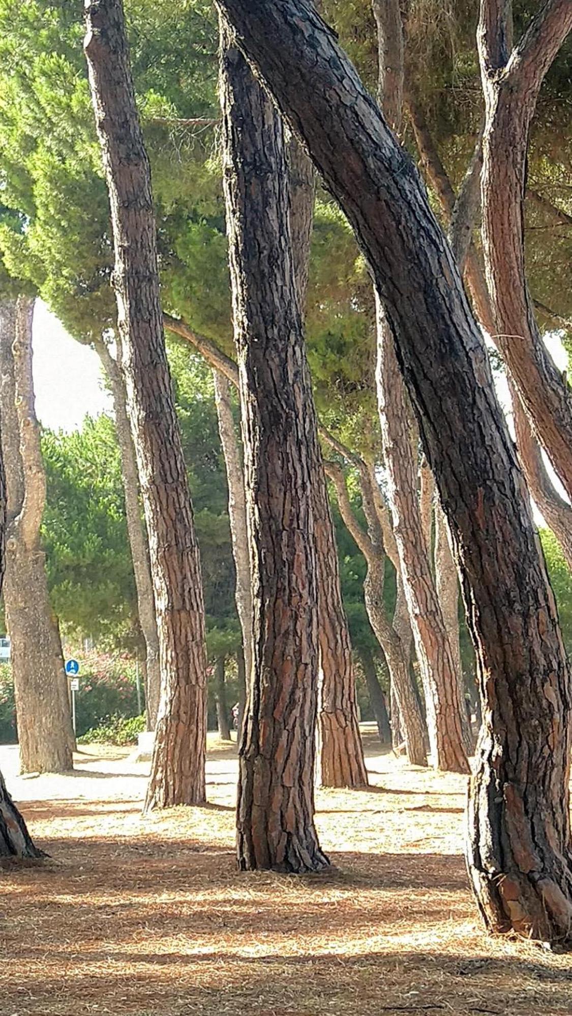 Villa Ferranti Abruzzo Montefino Buitenkant foto